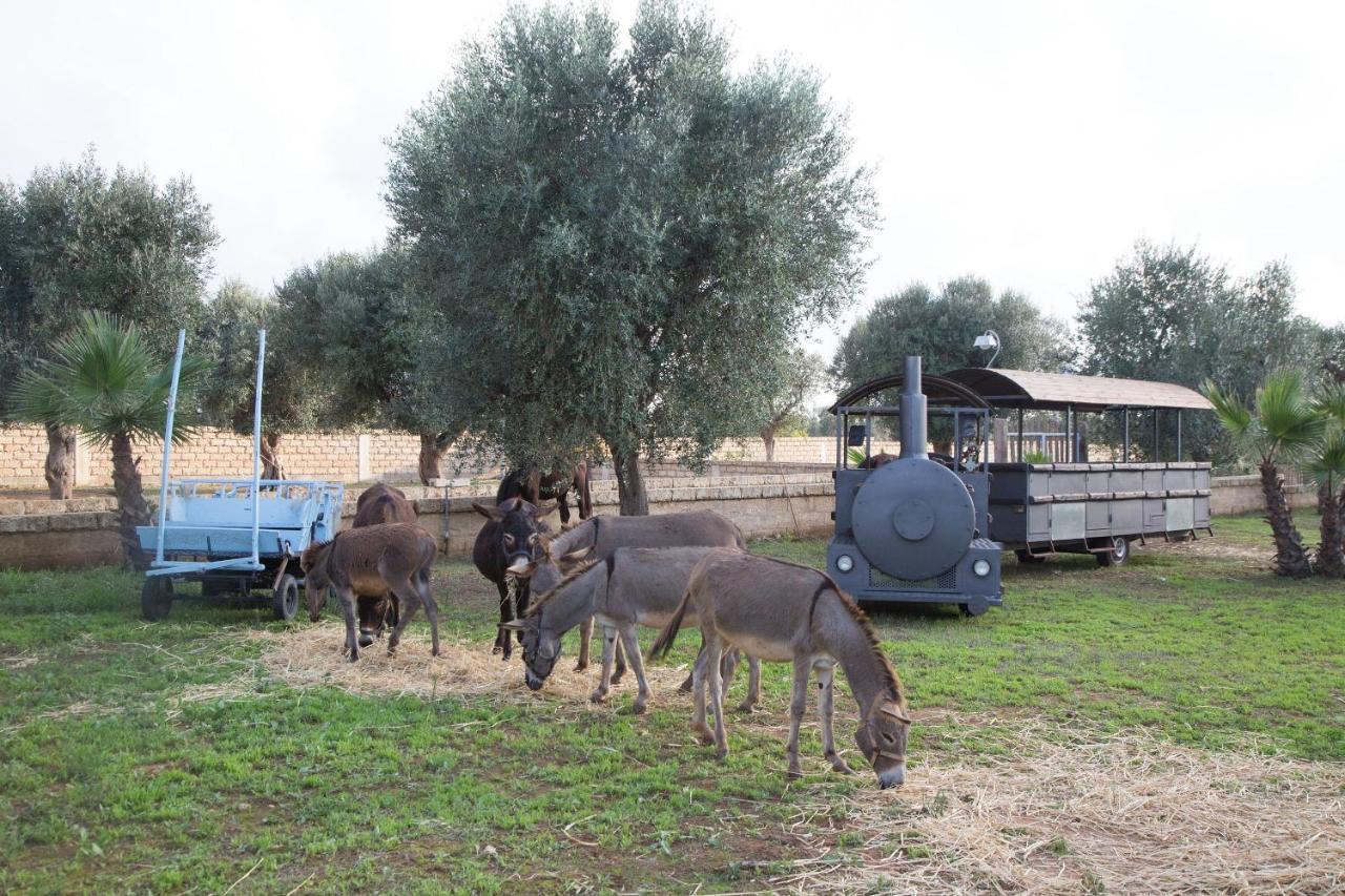 Masseria Grande Taurisano Exteriör bild